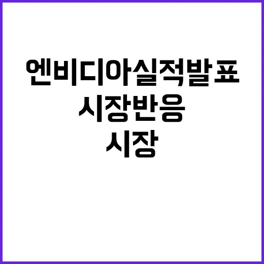 엔비디아 실적 발표…