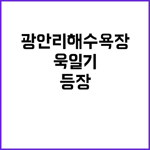 욱일기 사건 광안리 해수욕장 70대 등장!