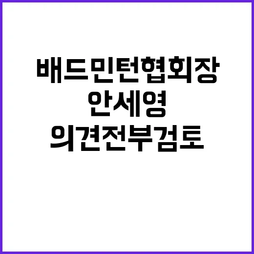 안세영의 한 배드민…