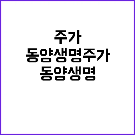 동양생명 주가 급락…