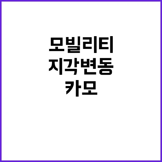 모빌리티 포털 카모와 티맵의 지각변동!