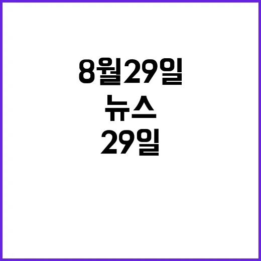 MBN 뉴스7 8월 29일 주요 사건 정리!