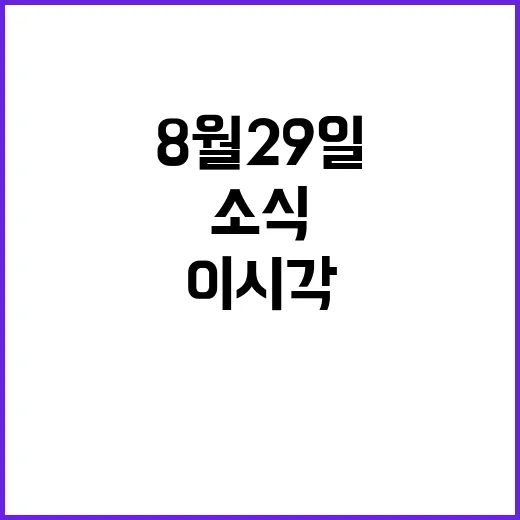 뉴스현장 8월 29일 이시각 가장 뜨거운 소식!