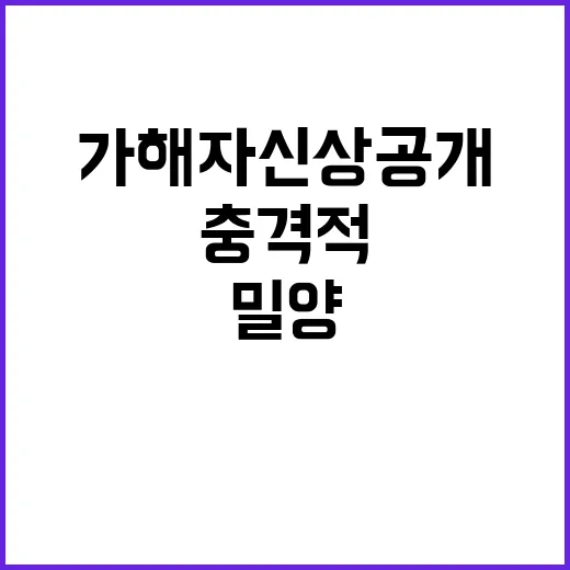 밀양 가해자 신상공…