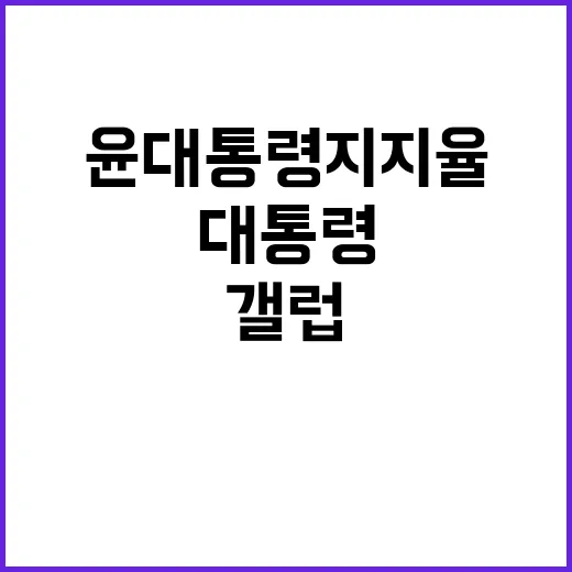 갤럽 윤 대통령 지…