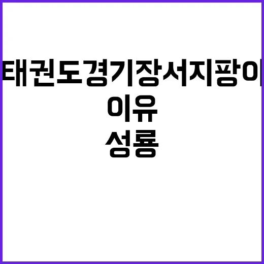 성룡 태권도 경기장…