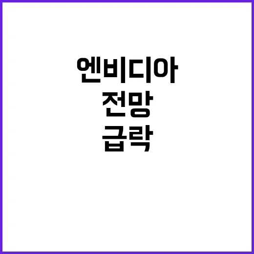 엔비디아 급락 그 이유와 향후 전망 공개!