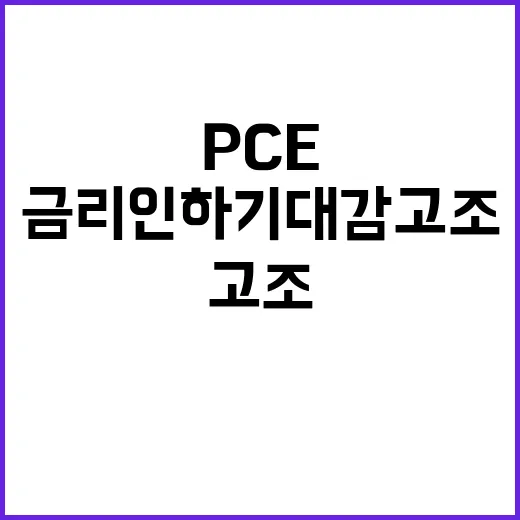 PCE 증가 금리인하 기대감 고조!