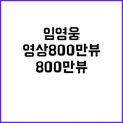 임영웅 폴라로이드 영상 800만뷰 감동 스토리!