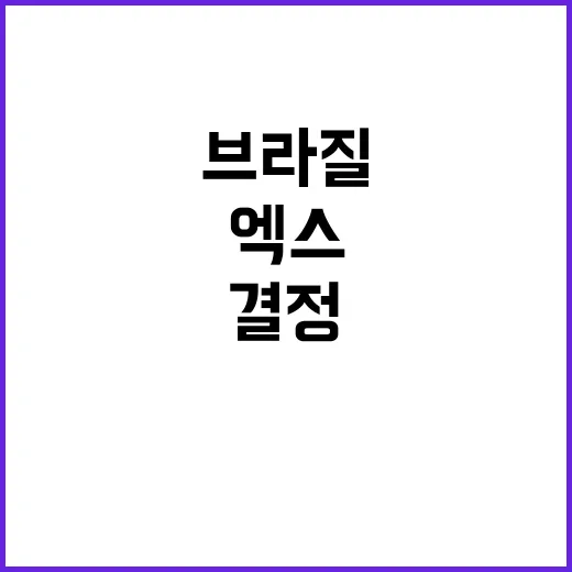 엑스 서비스 중단 브라질의 충격적인 결정!