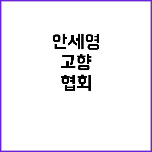 안세영 고향 나주 …