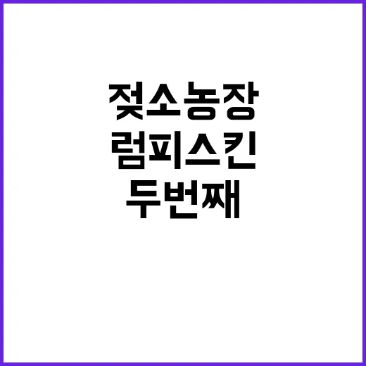 럼피스킨 올해 두 …