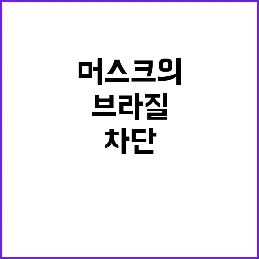 브라질 차단 이유는…