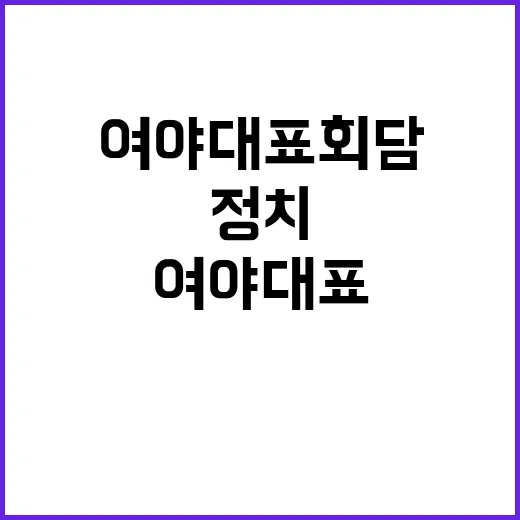 여야 대표 회담 대립 정치 청산 가능성 제기!