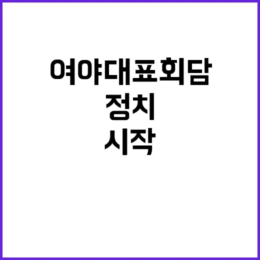 여야 대표 회담 대…