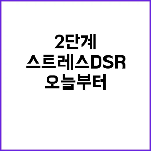 스트레스 DSR 2…