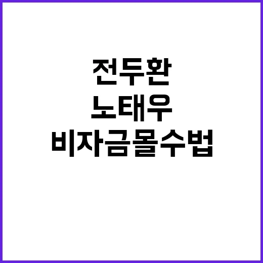 비자금 몰수법 전두…