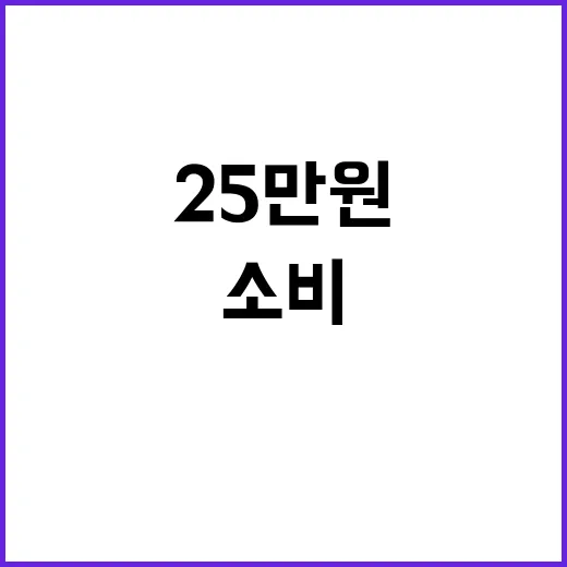 “25만원법 소비진작의 비밀이 밝혀졌다!”