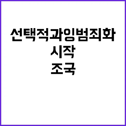 조국 진실과 거짓의…