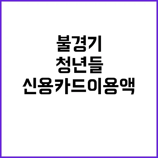 신용카드 이용액 감…