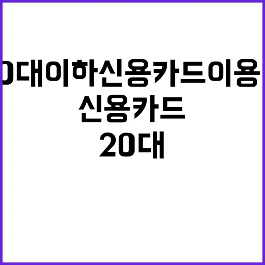 돈 문제 20대 이하 신용카드 이용액 급감!