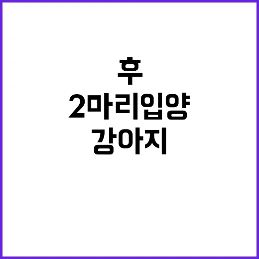 유튜버 반려견 죽음…