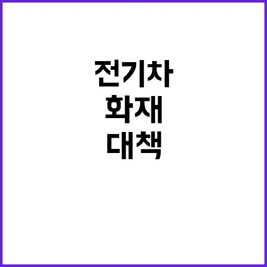 전기차 포비아 해결…