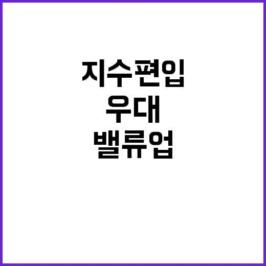 코리아 밸류업 지수…