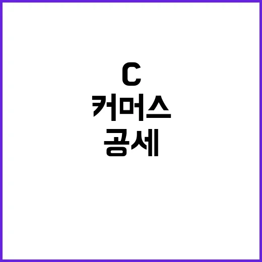 C커머스 공세 K플랫폼 생존전략 공개!