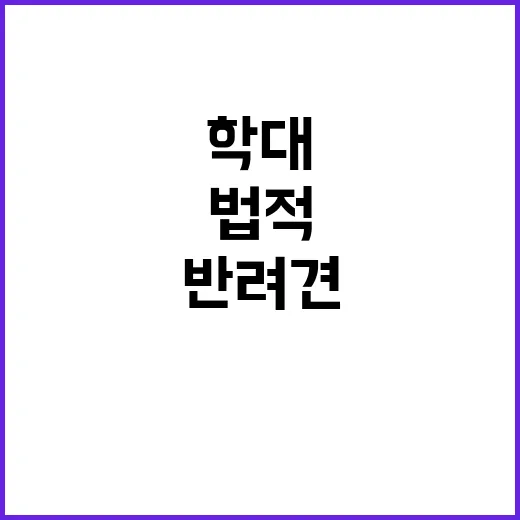 반려견 학대 사건 20만 유튜버 법적 책임에 직면