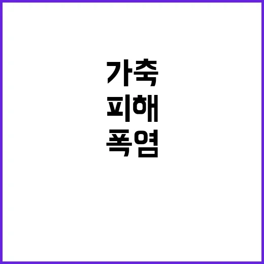 폭염 피해, 가축 …