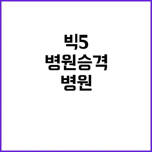 빅5 병원 승격, …