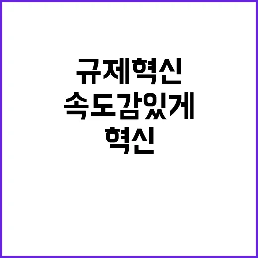 규제 혁신, 심의 …