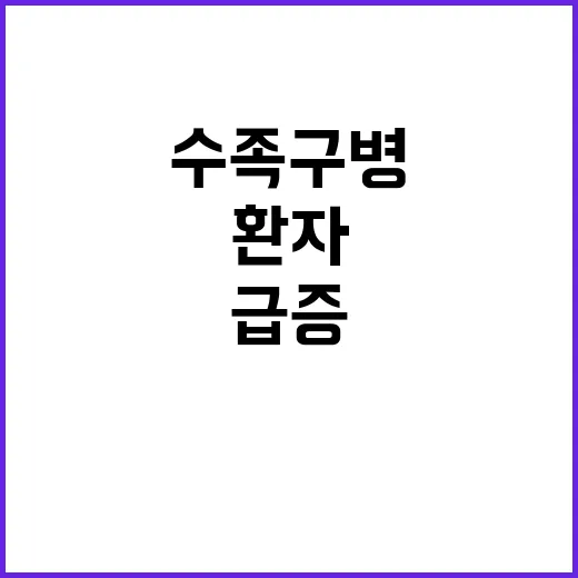 수족구병, 급증하는…