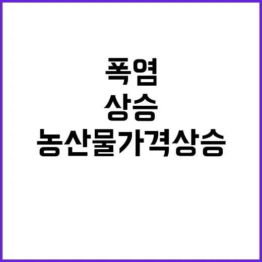 폭염의 진실 농산물 가격 상승, 사실과 달라!