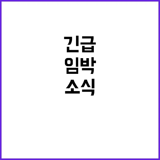 원예농산물, 중장기 대책 발표 임박! 긴급 소식!