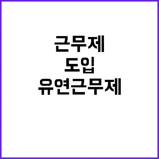 유연근무제, 도입하…