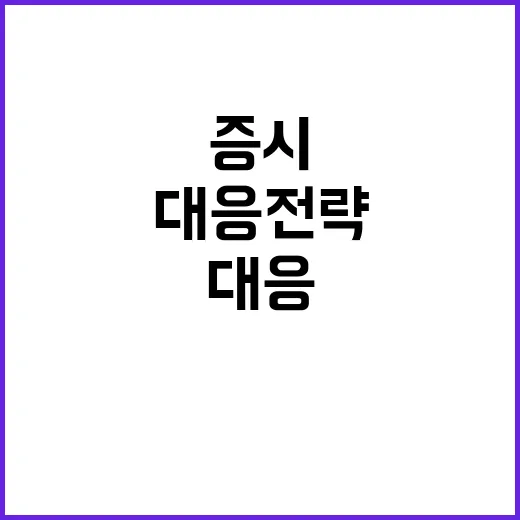 증시 조정, 정부의 이례적 상황 대응 전략 공개!