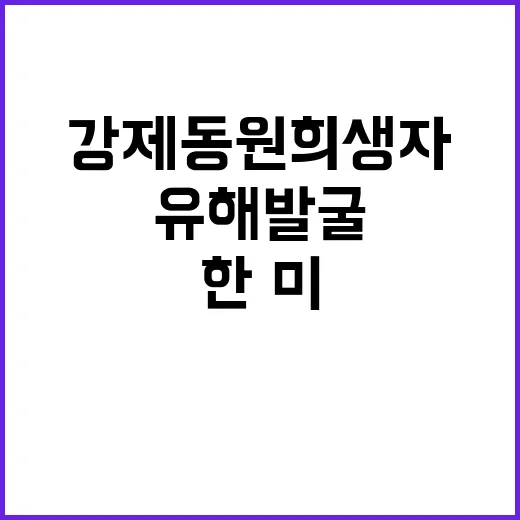 강제동원 희생자 유해 발굴 한·미 협력 시작!