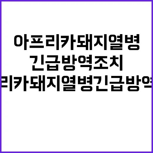 아프리카돼지열병 긴급 방역조치로 생명 구하기!