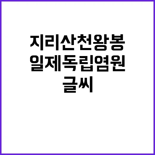 ‘일제 독립 염원’…