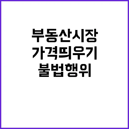 부동산 시장 불법행위 가격 띄우기 집중 조사!