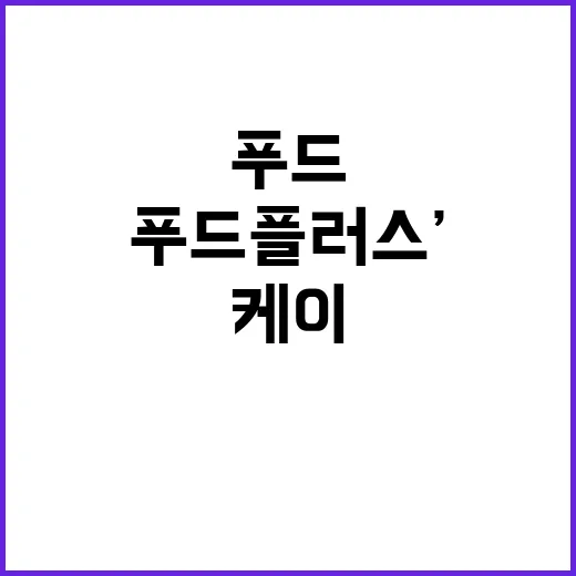 ‘케이푸드 플러스’…