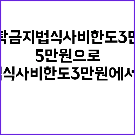 청탁금지법 식사비 …