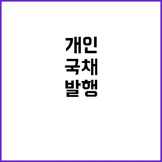 국채 발행 개인투자…