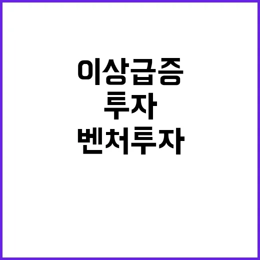 벤처투자 올해 5조…