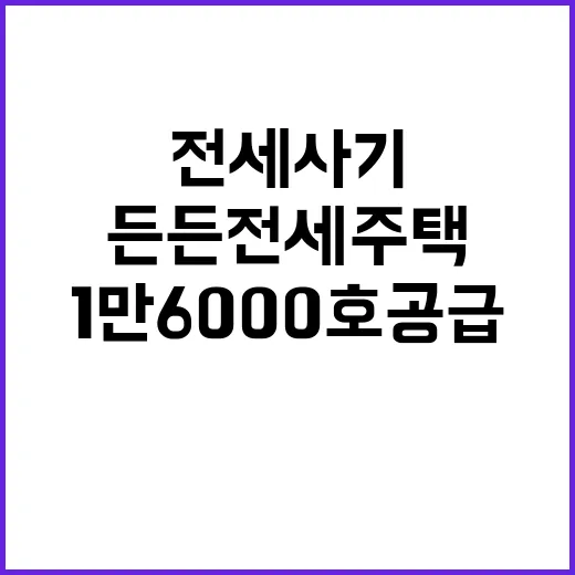 전세사기 든든전세주택 1만 6000호 공급 사실!