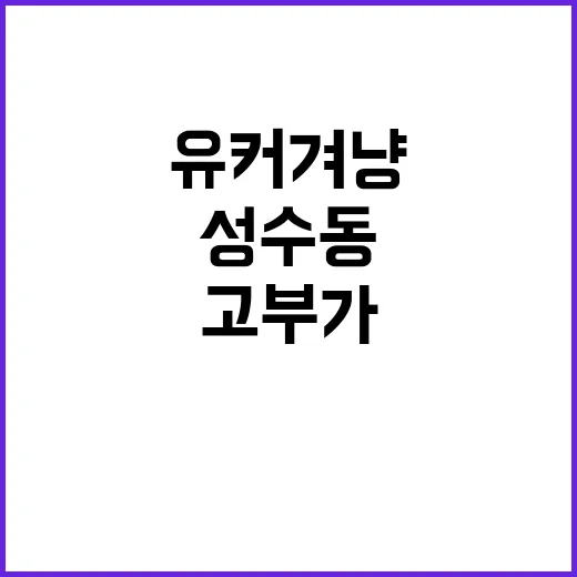 성수동 카페 유커 겨냥 고부가 상품 16개 공개!