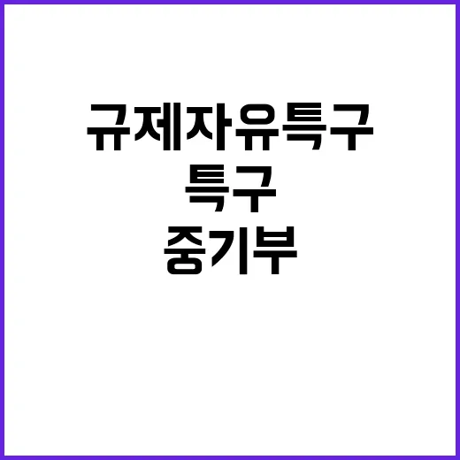 규제자유특구 중기부…