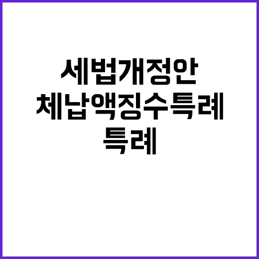 세법개정안 체납액 징수특례의 숨겨진 진실!